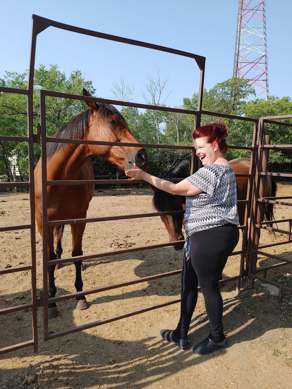Grand Oak Meadows Stables | 1237 McCreary Rd, Winnipeg, MB R3P 0M6, Canada | Phone: (204) 250-7722