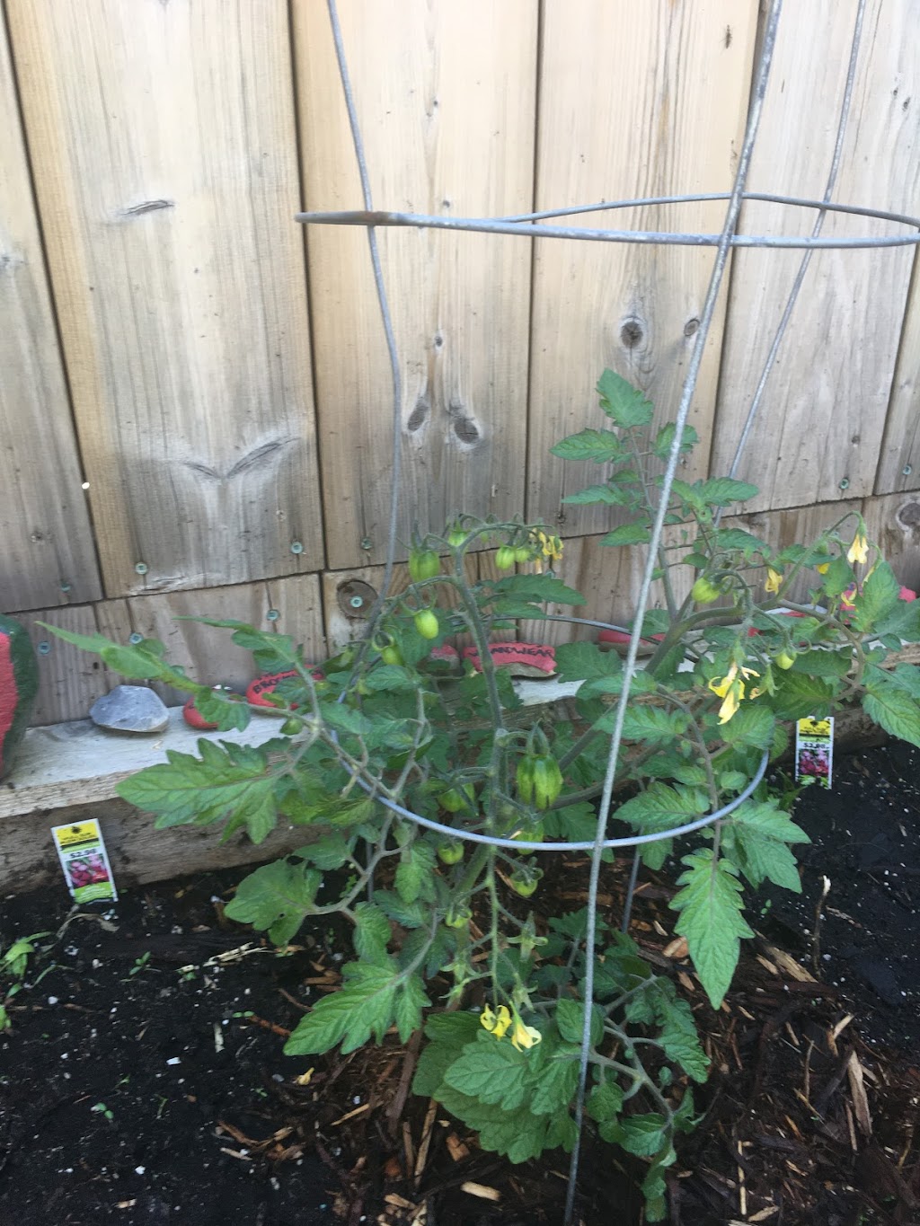 Lohr-a-Lee Greenhouses | Township Rd 325A, Didsbury, AB T0M 0W0, Canada | Phone: (403) 438-0030