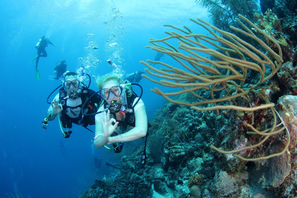 Bobs Scuba Shop | 220 1/2 Kenilworth Ave N, Hamilton, ON L8H 4S2, Canada | Phone: (905) 549-1043