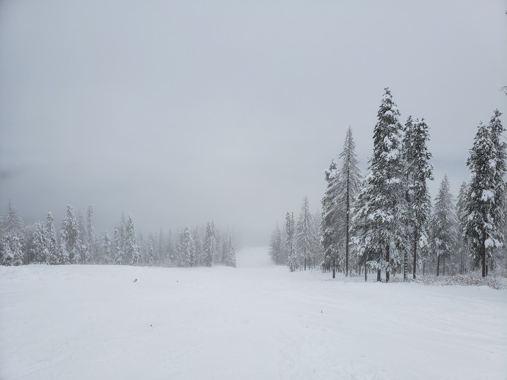 Trickle Creek Lodge | 500 Stemwinder Dr, Kimberley, BC V1A 2Y6, Canada | Phone: (877) 282-1200