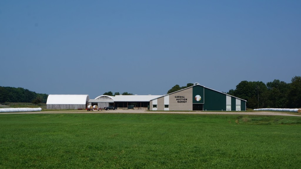 Cargill Auction Market | 40 Cargill Rd, Cargill, ON N0G 1J0, Canada | Phone: (519) 366-2214