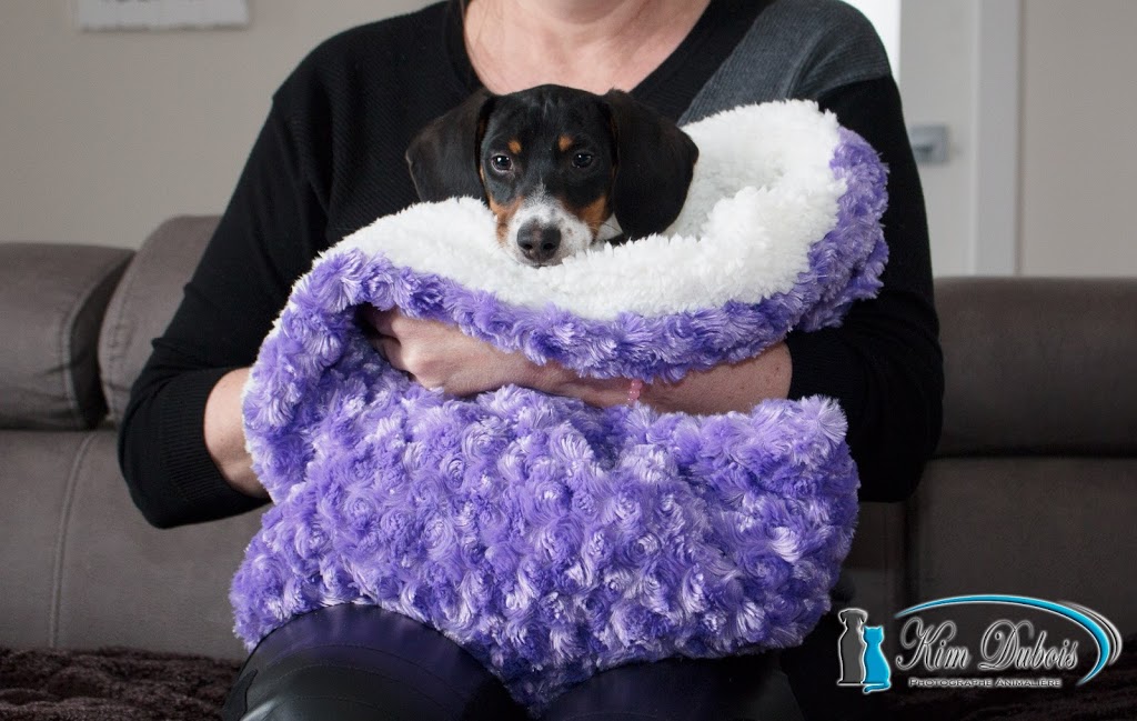 Créations Happy et Joy | 795 Rue des Moissons, Saint-Lin - Laurentides, QC J5M 2G3, Canada | Phone: (514) 839-8505
