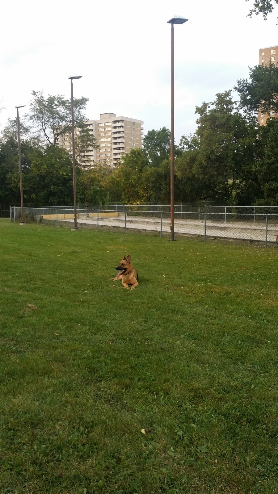 Riverlea Park | 919 Scarlett Rd, Etobicoke, ON M9P 2V3, Canada | Phone: (416) 338-4386
