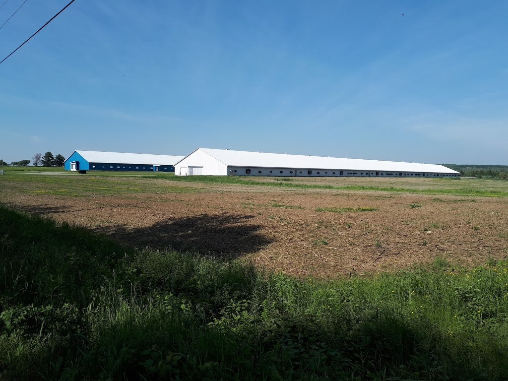 Canards Du Lac Brome Ltee | 174 Chemin du N, Racine, QC J0E 1Y0, Canada | Phone: (450) 532-3700