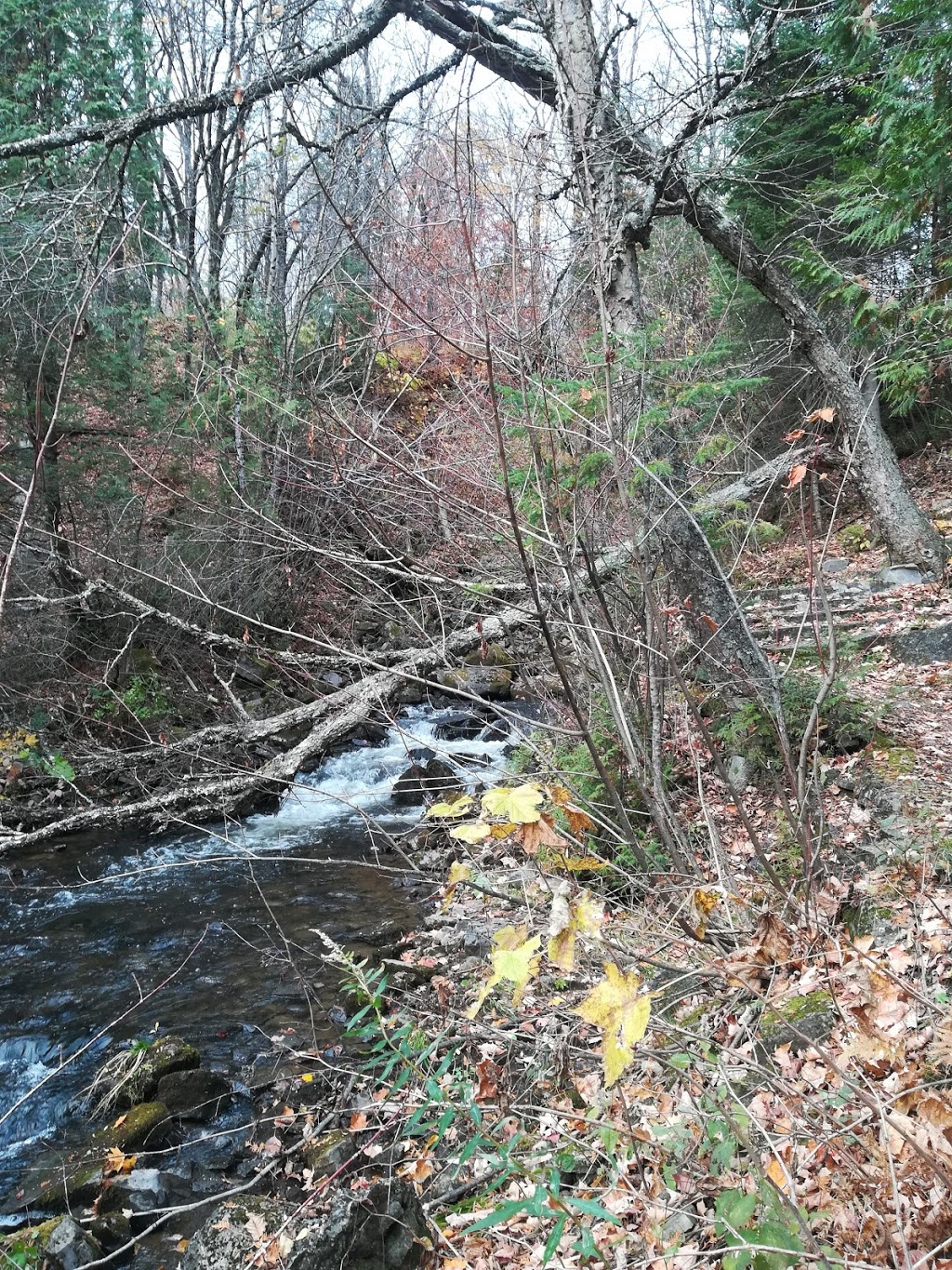 Parc des Résurgences | Boischatel, QC G0A 1H0, Canada