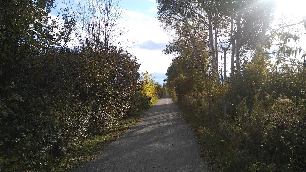 Grenfell Glen Park | Merivale Gardens - Grenfell Glen - Pineglen - Country Place, Ottawa, ON K2G, Canada