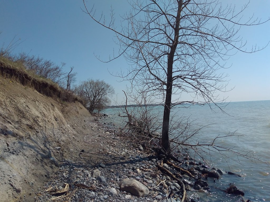 Centennial Grove | Waterfront Trail, Whitby, ON L1N 9W1, Canada