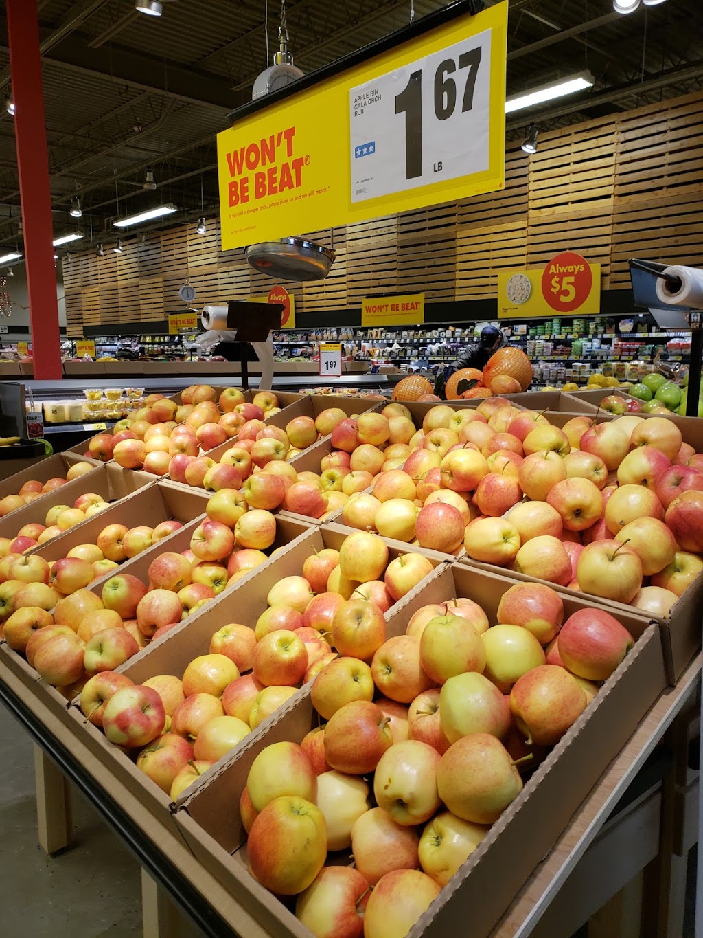 Toms No Frills | 6650 Roblin Blvd, Winnipeg, MB R3R 2P9, Canada | Phone: (866) 987-6453