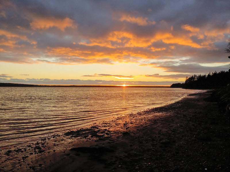 Yellow Tent Cottage PEI | 105 Hutcheson Ln, Montague, PE C0A 1R0, Canada | Phone: (647) 355-3474