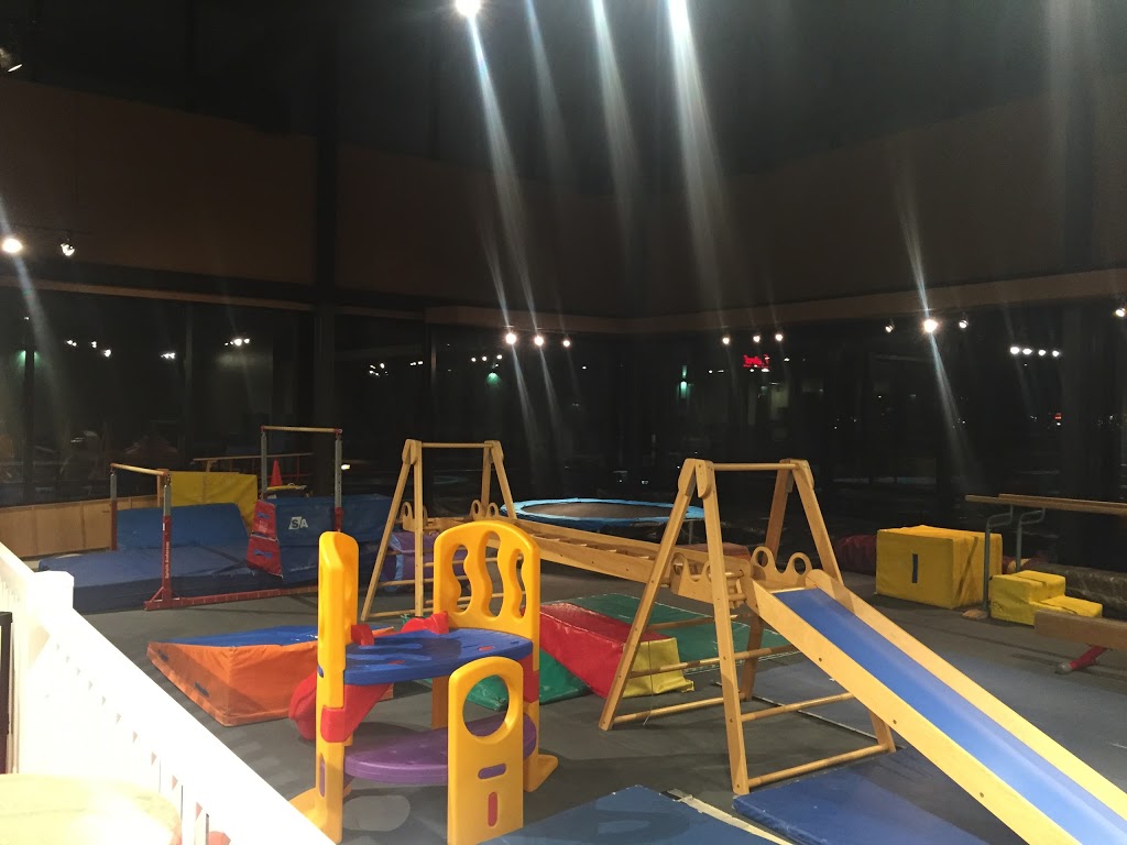 Phoenix Gymnastics Centre | 9704 12 Ave SW, Edmonton, AB T6X 0J4, Canada | Phone: (780) 438-0586