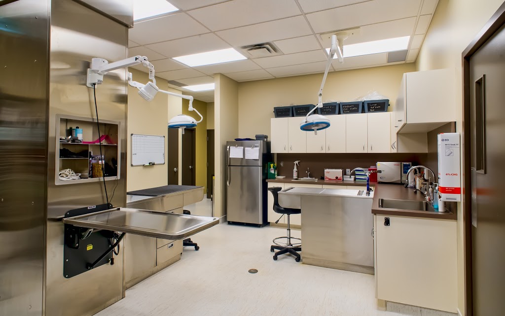 Sage Creek Animal Hospital | 50 Sage Creek Blvd #102, Winnipeg, MB R3X 0J6, Canada | Phone: (204) 255-1150