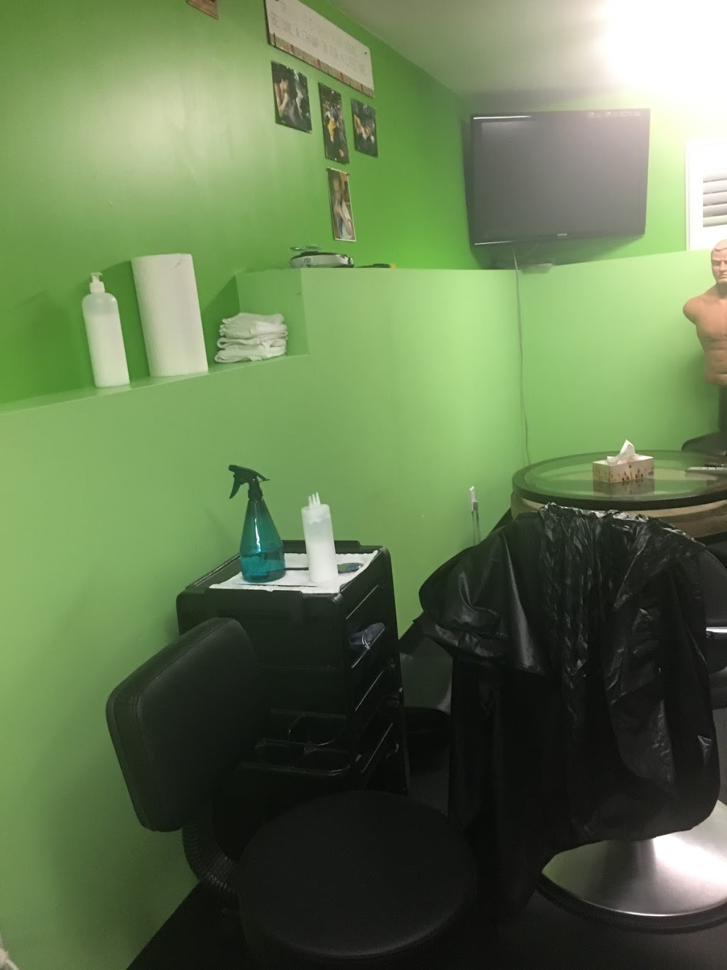 LICE BUSTERS TRICITY | 1821 Harbour St, Port Coquitlam, BC V3C 1A4, Canada | Phone: (778) 862-0724