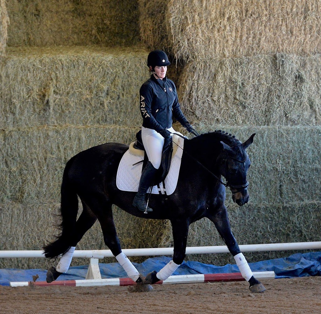 Graestone Equestrian | 5657 Wellington Rd 7, Guelph, ON N1H 6J2, Canada | Phone: (289) 355-0942