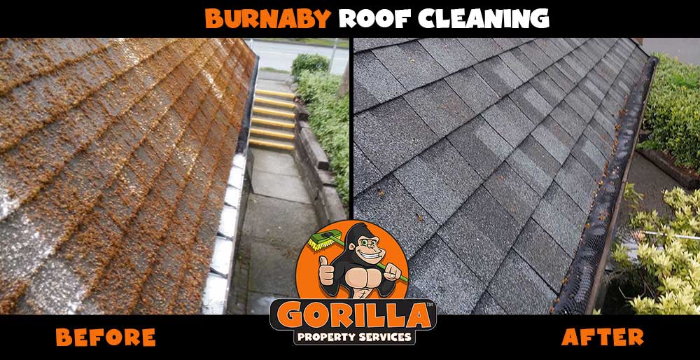 Gorilla Property Services | 4111 Hastings St Ste 170, Burnaby, BC V5C 6T7, Canada | Phone: (604) 467-4552