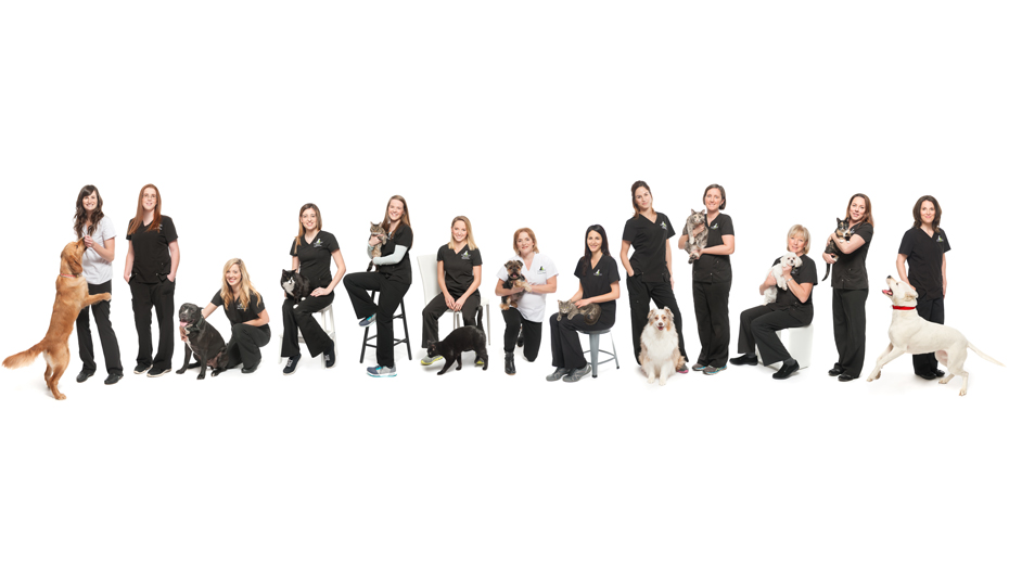 Clinique Veterinaire Vaudreuil | 463 Avenue Saint-Charles, Vaudreuil-Dorion, QC J7V 2N5, Canada | Phone: (450) 218-9090