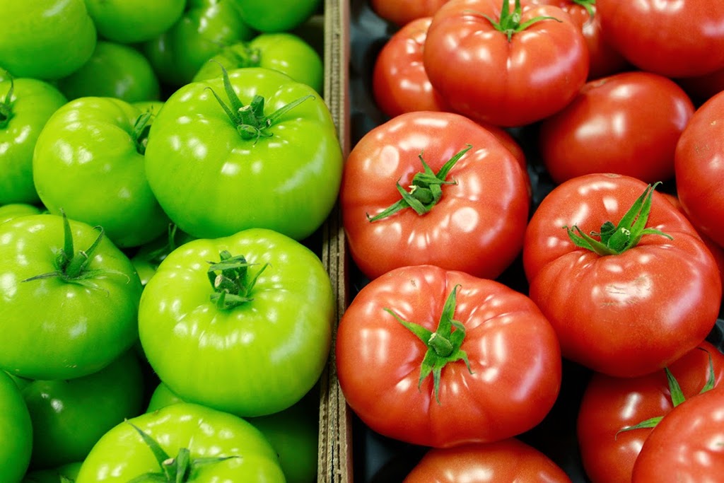 SunTech Greenhouses Ltd | 5541 Doyle Rd, Manotick, ON K4M 1B4, Canada | Phone: (613) 692-3388
