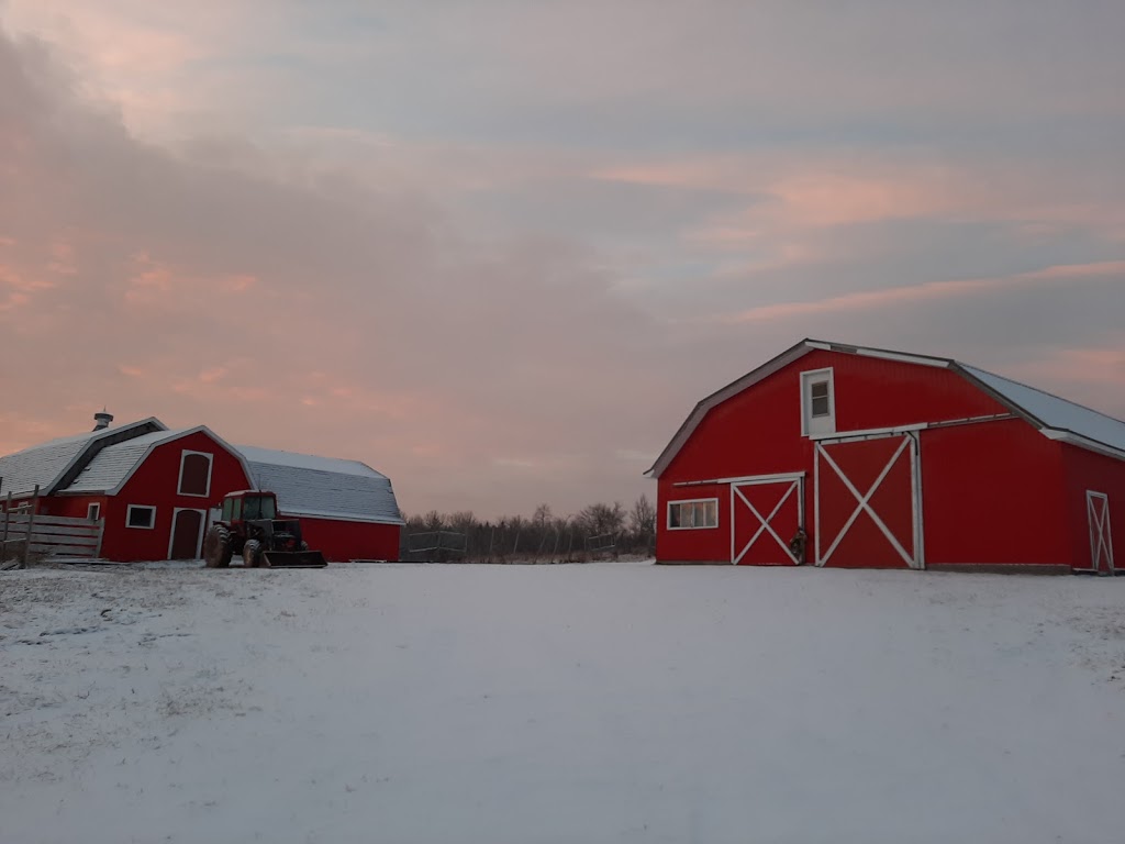 Philomena Farms | 539 Salmon Creek Rd, Salmon Creek, NB E4C 1G5, Canada | Phone: (506) 461-7062