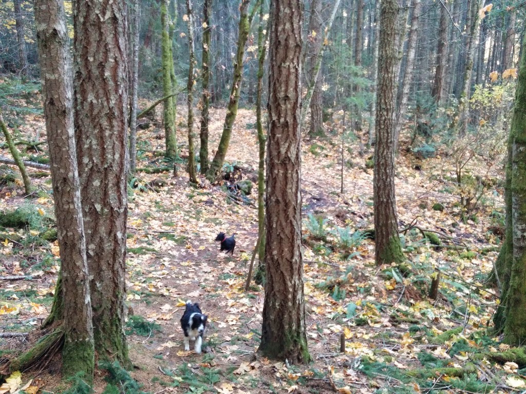 Mount Tzouhalem Ecological Reserve | North Cowichan, BC V9L, Canada