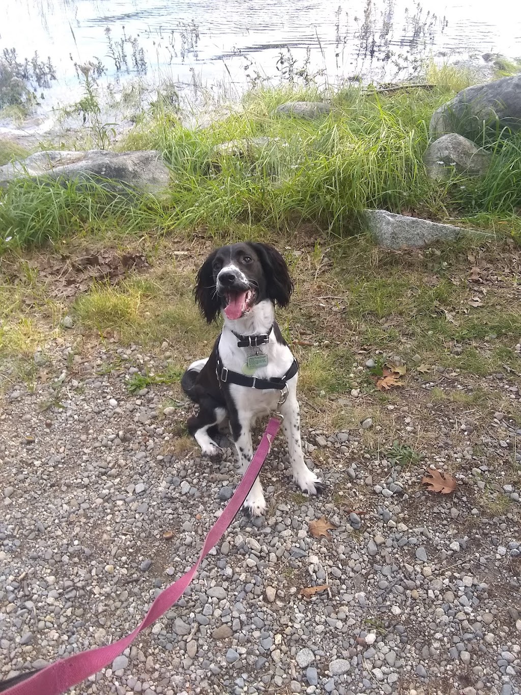 The Islands Provincial Park | 183 Islands Park Rd, Shelburne, NS B0T 1W0, Canada | Phone: (902) 875-4304