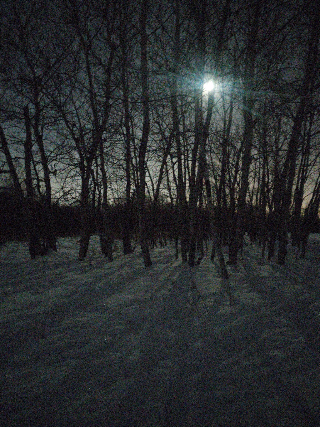 Rotary Park Trail (Downtown Side) | 472 Harvey St, Sudbury, ON P3B 2J1, Canada | Phone: (705) 207-8496