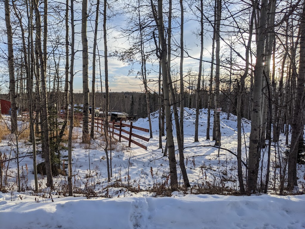Bear Valley Rescue | Mountain View County, 31123 Range Rd 60, Sundre, AB T0M 1X0, Canada | Phone: (403) 637-2708