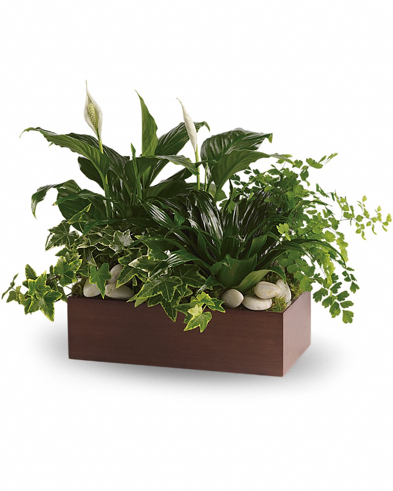 RJ Bengert Florist | 218 French Rd, West Seneca, NY 14224, USA | Phone: (716) 826-6644