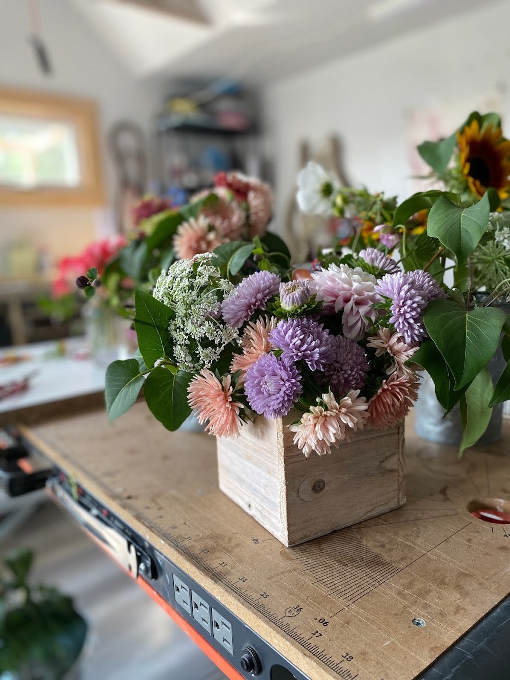 Concession Road Garden | 224 Concession 13 Walpole, Hagersville, ON N0A 1H0, Canada | Phone: (905) 906-6883