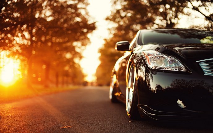 Pro Window Tinting - Calgary 3M Window Tint | 1007 55 Ave NE, Bay M, Calgary, AB T2E 6Y4, Canada | Phone: (587) 324-1993