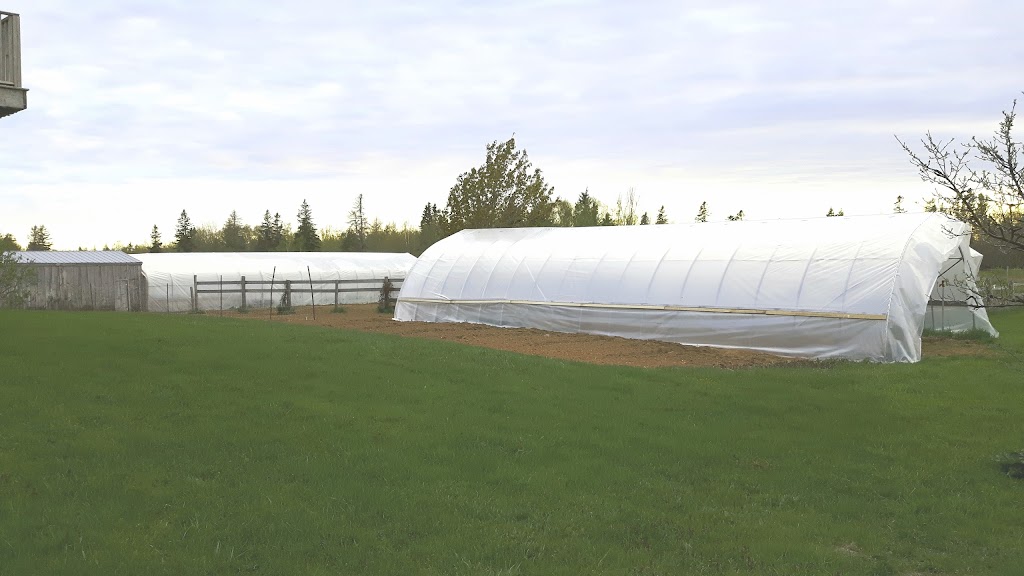 Emmerdale Eden Farm | 10 Emery Rd, Summerside, PE C1N 4J8, Canada | Phone: (902) 436-5180
