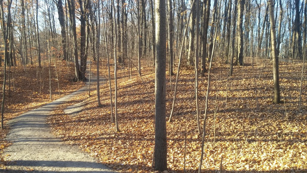 Maple Valley Park | 26 Prince Edward Blvd, Thornhill, ON L3T 7G2, Canada