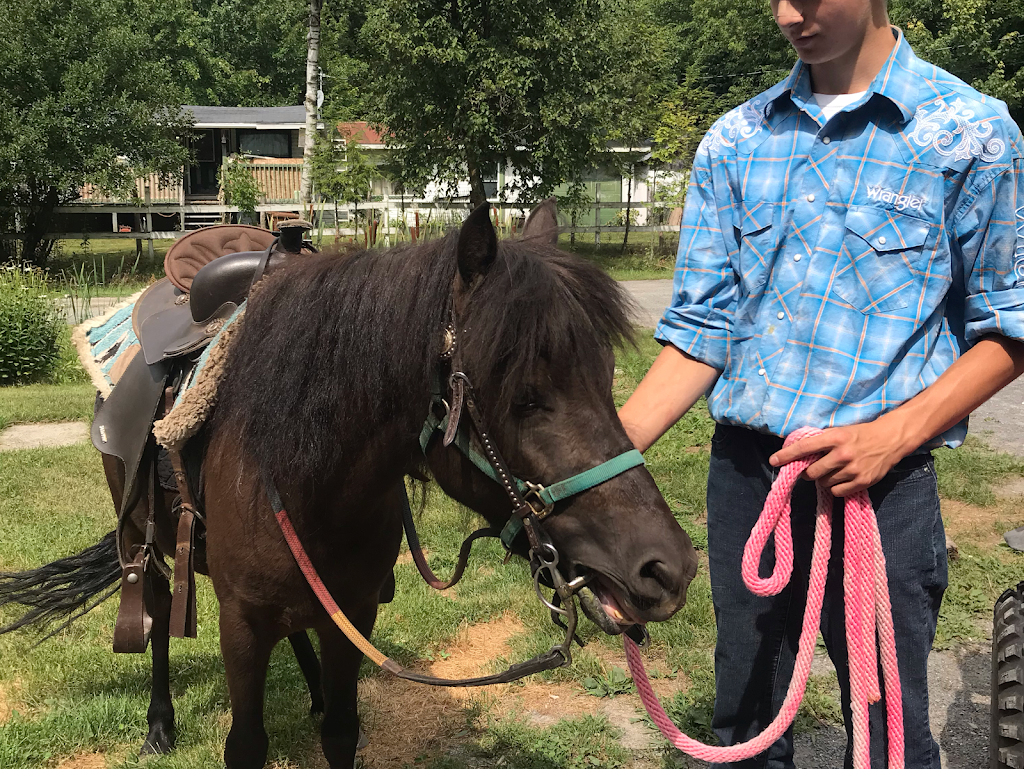 Ranch Des Petits Amis Inc (Le) | 273 Rue Edgar, Sainte-Hélène-de-Bagot, QC J0H 1M0, Canada | Phone: (450) 791-2239