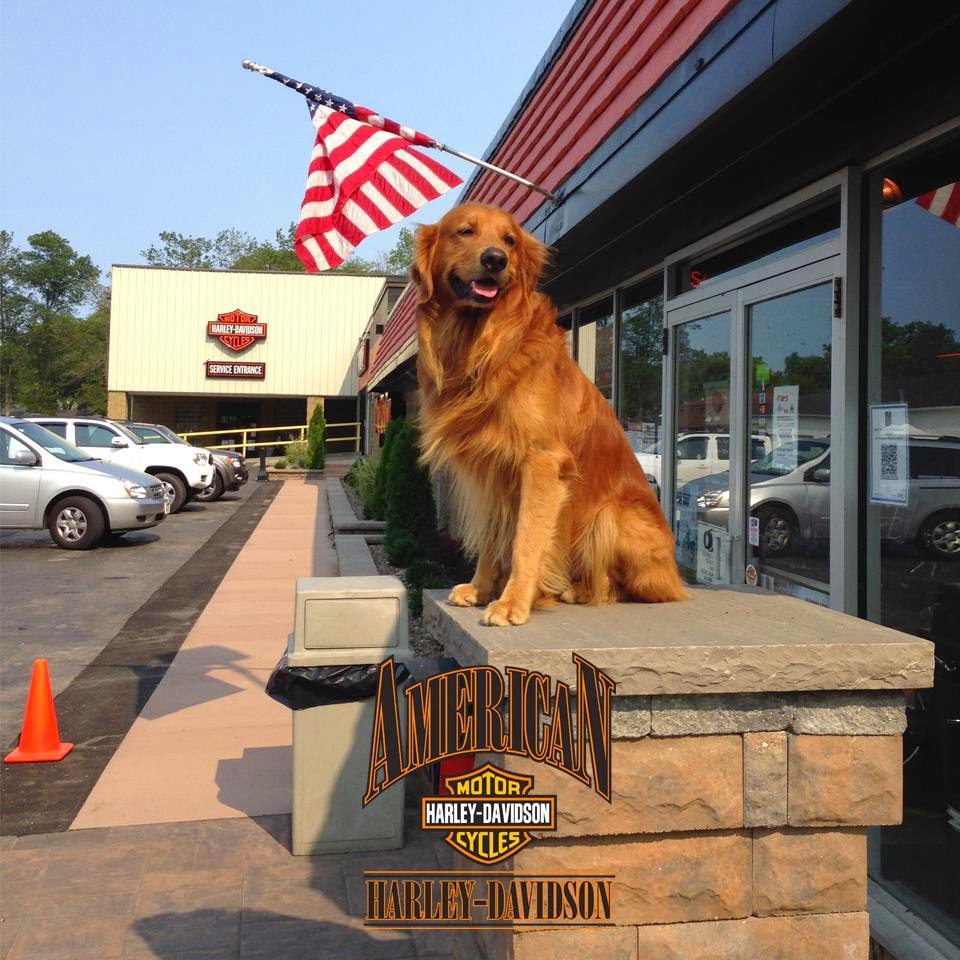 American Harley-Davidson | 1149 Erie Ave, North Tonawanda, NY 14120, USA | Phone: (716) 692-7200
