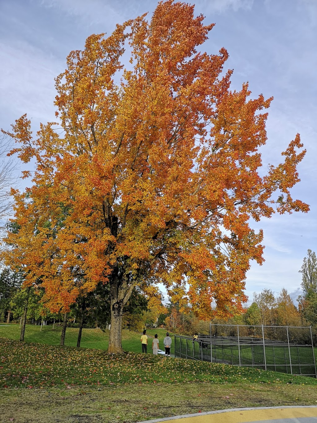 Unwin Park | 13313 68 Ave, Surrey, BC V3W 2E8, Canada | Phone: (604) 501-5050