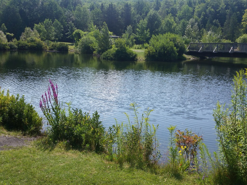 Parc Decouverte Nature | 2471 Chemin de Baldwin Mills-Barnston, Coaticook, QC J1A 2S4, Canada | Phone: (819) 849-2677
