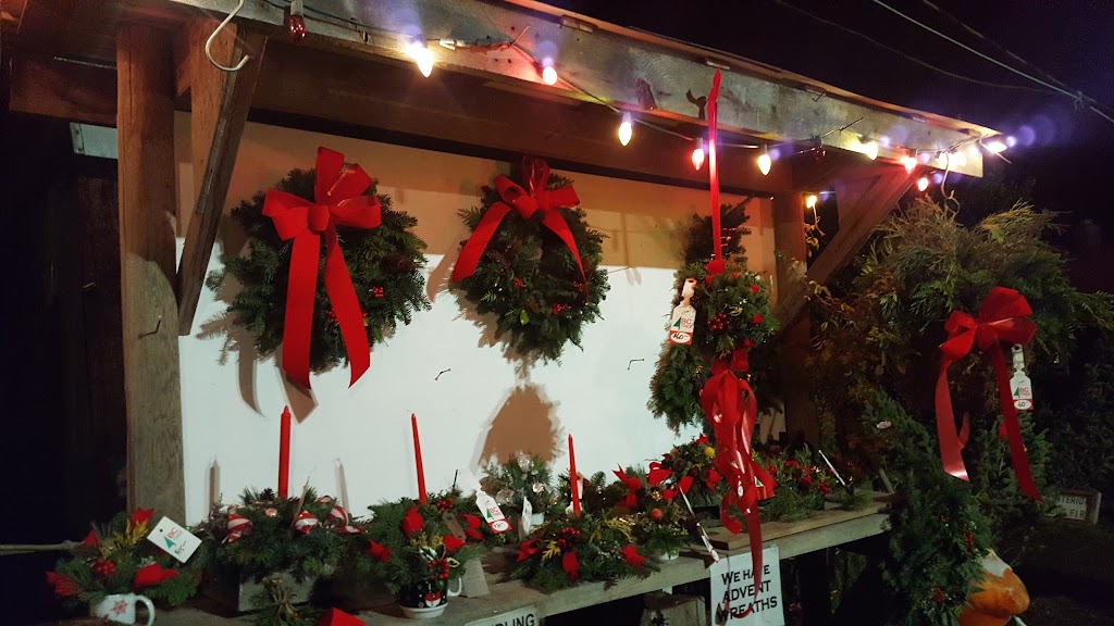 Saanichton Christmas Tree Farm | 8231 E Saanich Rd, Saanichton, BC V8M 1T5, Canada | Phone: (250) 652-3345