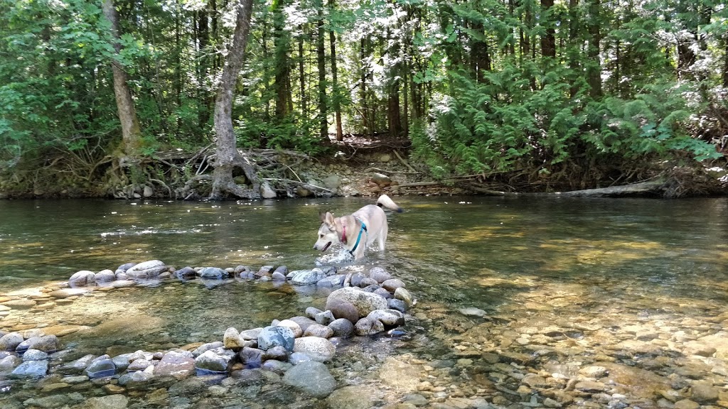 Coquitlam River Park | 1190 Shaughnessy St, Coquitlam, BC V3E, Canada