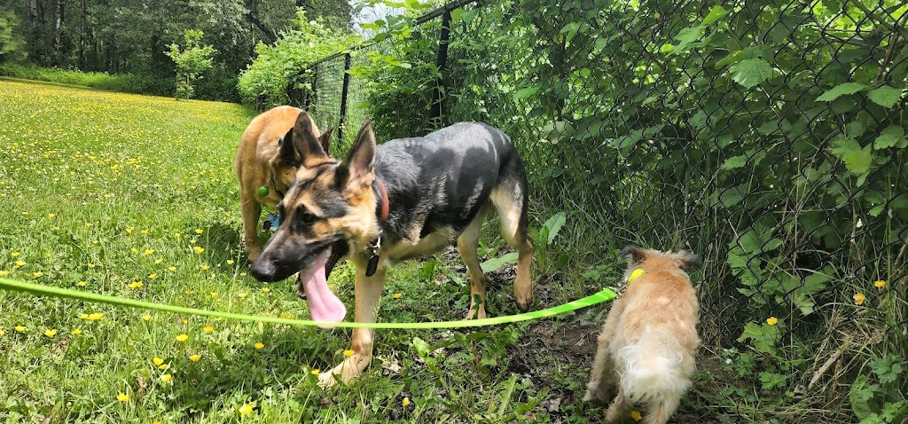 Island 22 dog park | Cartmell Rd, Chilliwack, BC V2P 0C8, Canada | Phone: (778) 836-7335