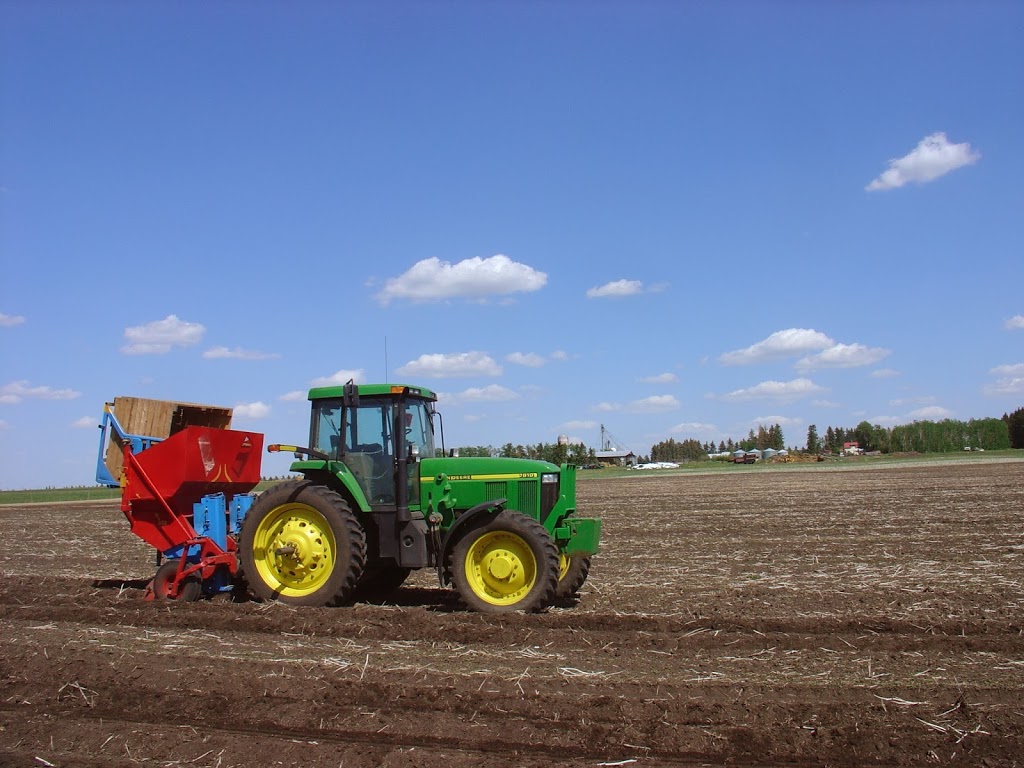 Eagle Creek Seed Potatoes | 34530 Range Rd 14, Bowden, AB T0M 0K0, Canada | Phone: (877) 224-3939