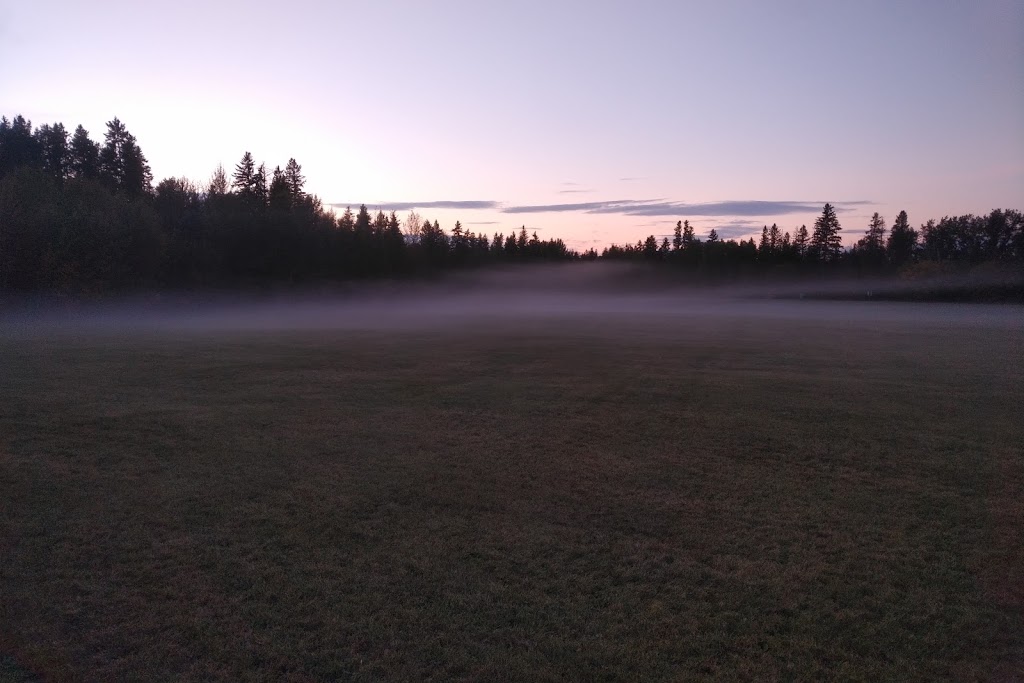 Malboro Off-leash Park | 49 Marlboro Dr, Spruce Grove, AB T7X 2L5, Canada | Phone: (780) 962-2031
