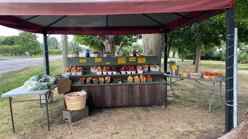 Warner Orchards | 4505 Lincoln Av, Beamsville, ON L0R 1B3, Canada | Phone: (905) 563-4817