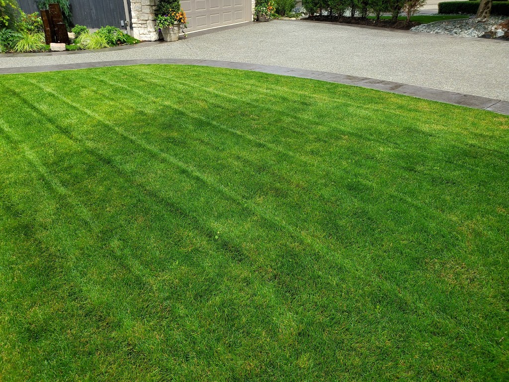Paragon Lawn and Landscape Ltd | 36417 Country Pl, Abbotsford, BC V3G 1M2, Canada | Phone: (778) 241-8962