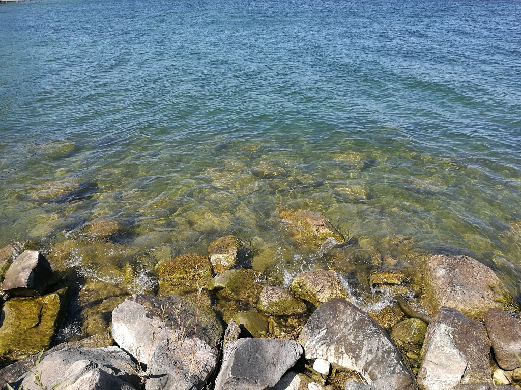 Dock Road Park | 204 Dock Rd, Barrie, ON L4N 7S7, Canada
