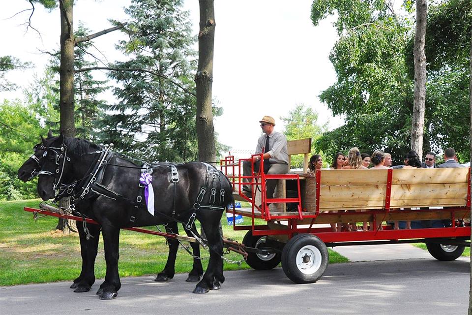 Hockley Valley Farm | 307509 Hockley Rd, Mono, ON L9W 6M9, Canada | Phone: (905) 715-0520