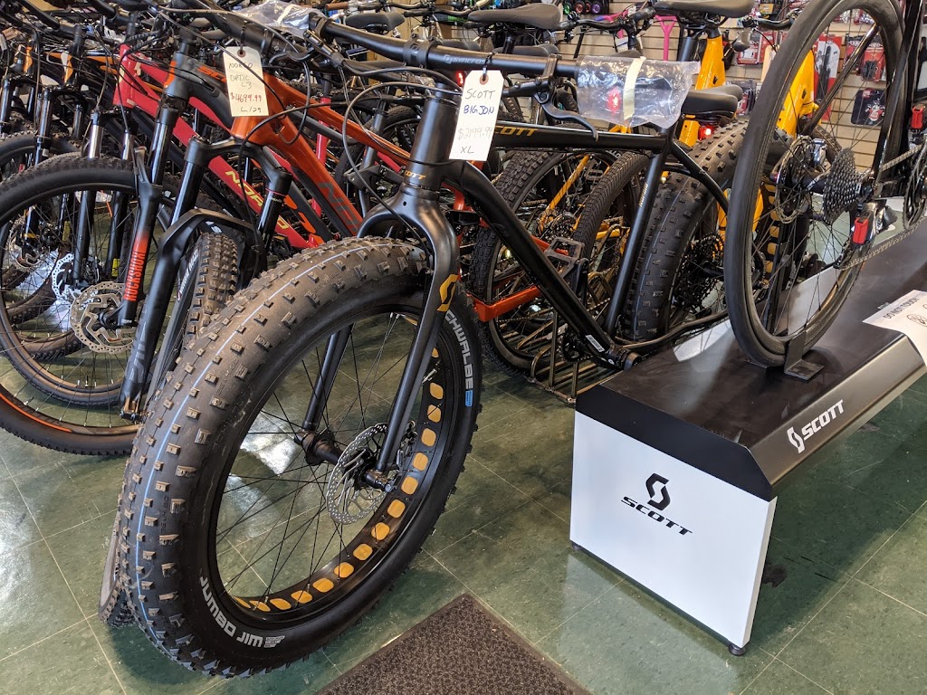 Little Eds Ski & Bike Shop | 15 Balsam St Unit 2, Collingwood, ON L9Y 4H6, Canada | Phone: (705) 444-5488