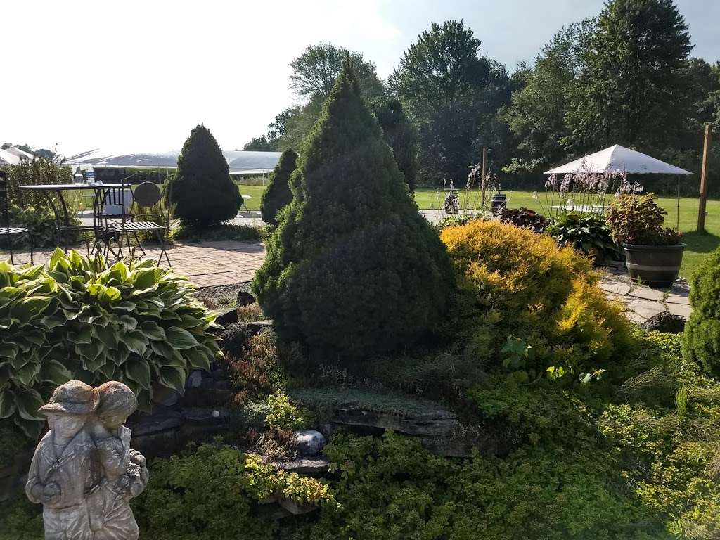 Casa Moga | 8615 Olde Dr, Mount Brydges, ON N0L 1W0, Canada | Phone: (519) 661-6920