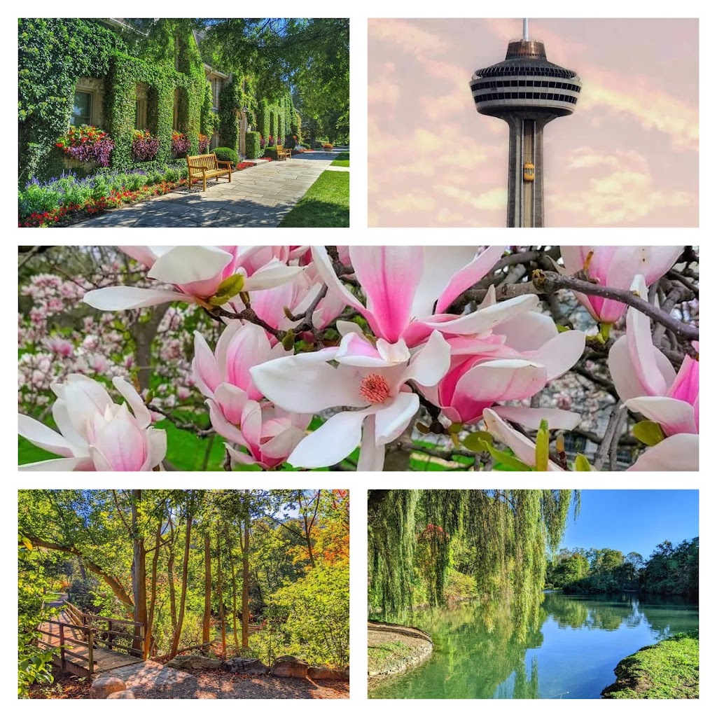 Niagaras Hidden Gems | 44 Chippawa Rd, Port Colborne, ON L3K 1T5, Canada | Phone: (905) 359-4376