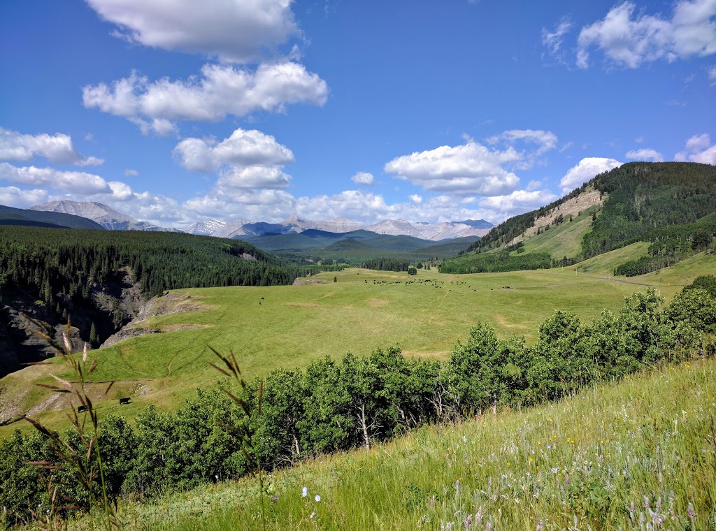 Sheep River Provincial Park - Kananaskis Country | Millarville, AB T0L 1K0, Canada | Phone: (403) 678-0760