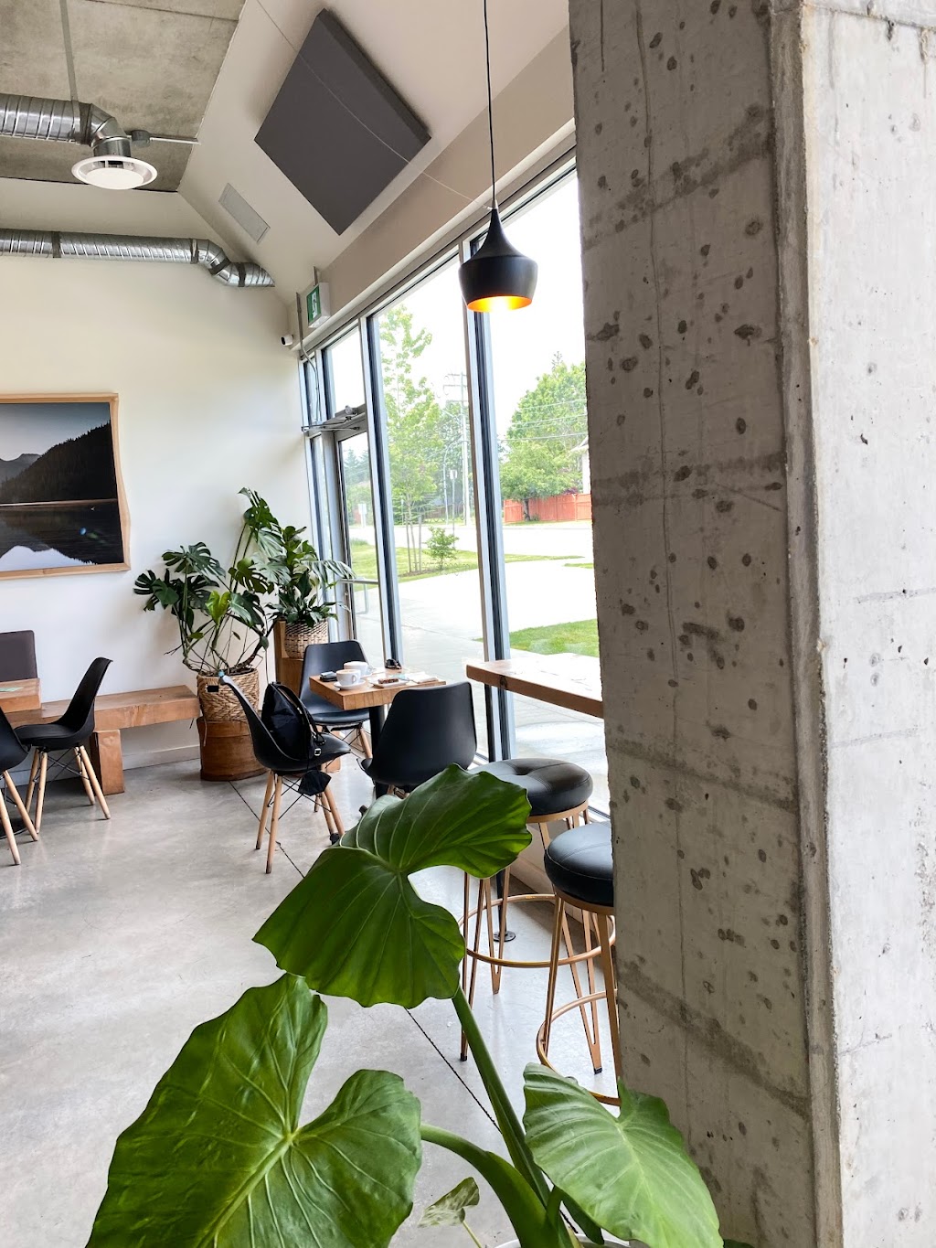 Milano Coffee Courtenay | 2525 Mission Rd #1130, Courtenay, BC V9N 9H1, Canada | Phone: (250) 871-6688
