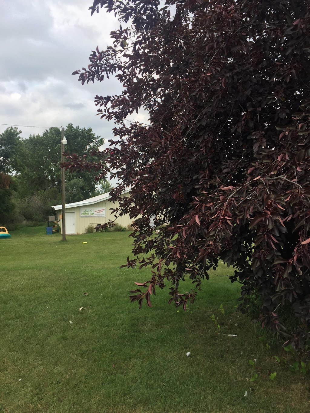 Lunds Organic Farm | 7501 C & E Trail T4G 0G9, Innisfail, AB T4G 0B1, Canada | Phone: (403) 506-1903