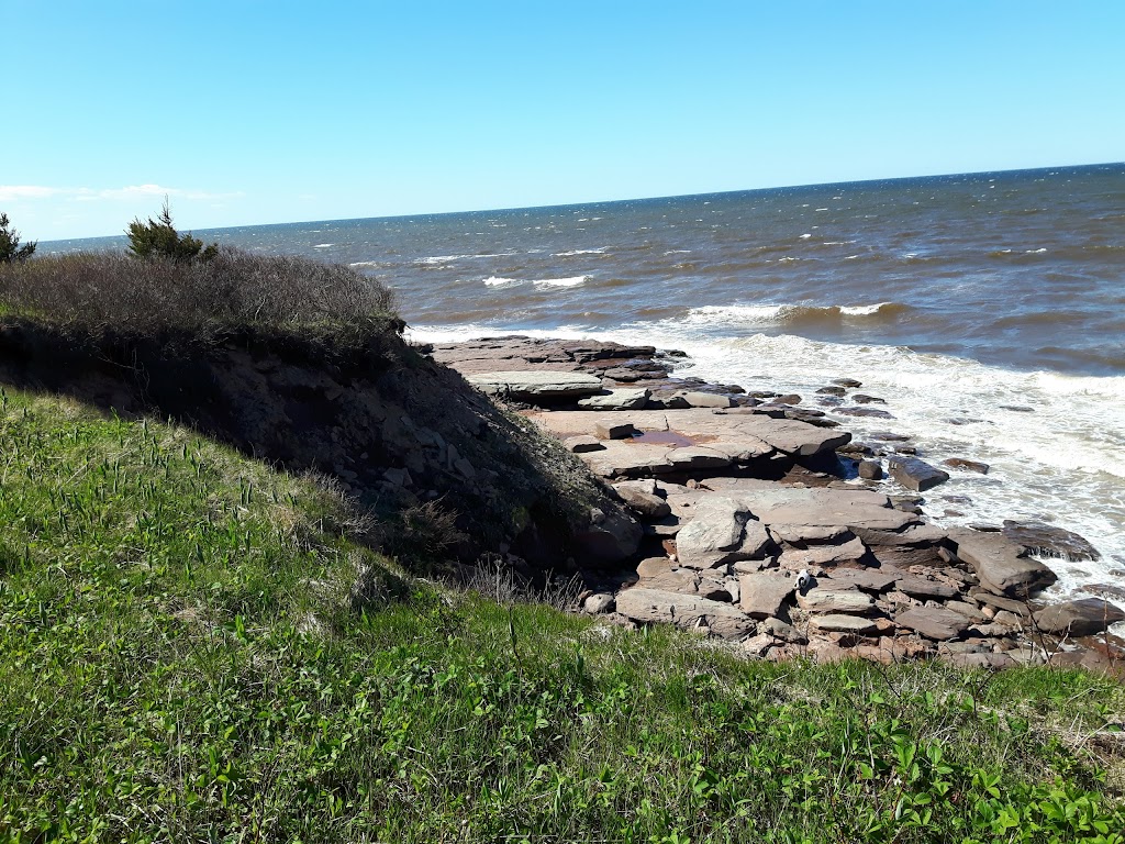 Éditions du Phare | 1234 All. des Hirondelles, Cap-Pelé, NB E4R 1N7, Canada | Phone: (506) 577-6160